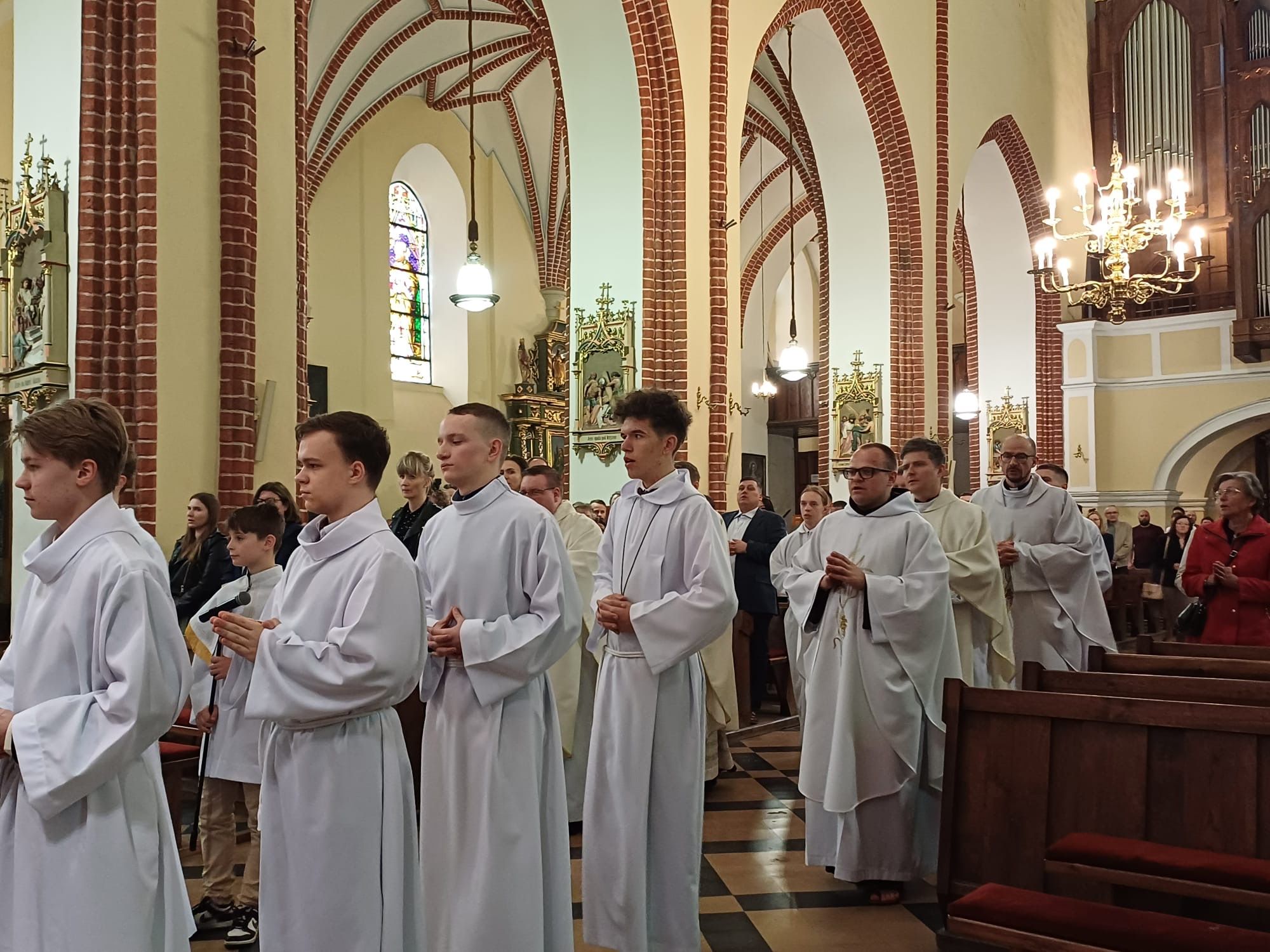 Ustanowienie nowych lektorów